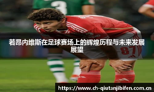 若昂内维斯在足球赛场上的辉煌历程与未来发展展望